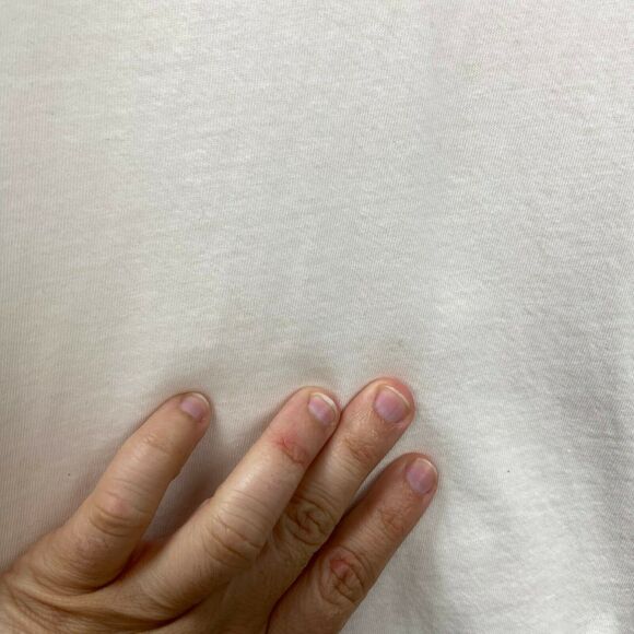 LOFT Small Womens Ivory Sheer Ruffle Flower Detail Short Sleeve Tee - Picture 3 of 6